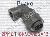 2РМДТ18КУЭ4Ш5А1В фотография 2 вилки.