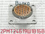 2РМТ24Б19Ш1В1БВ фотография 3 вилки.