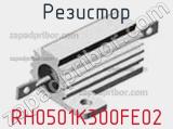 Резистор RH0501K300FE02 