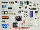 Резистор RH10011R00FJ01 
