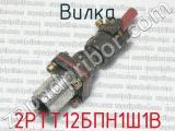 2РТТ12БПН1Ш1В фотография 2 вилки.