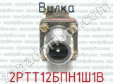 2РТТ12БПН1Ш1В фотография 3 вилки.