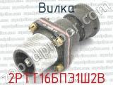2РТТ16БПЭ1Ш2В фотография вилки.