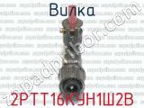 2РТТ16КУН1Ш2В фотография 2 вилки.