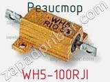 Резистор WH5-100RJI фотография 2.