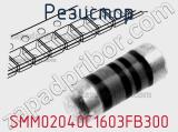 Резистор SMM02040C1603FB300 