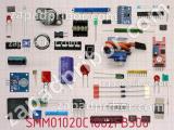 Резистор SMM01020C1002FB300 