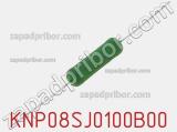 Резистор проволочный KNP08SJ0100B00 
