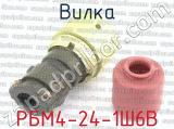 РБМ4-24-1Ш6В фотография 2 вилки.