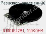 Резистор переменный R1001G22B1, 100KOHM фотография 3.