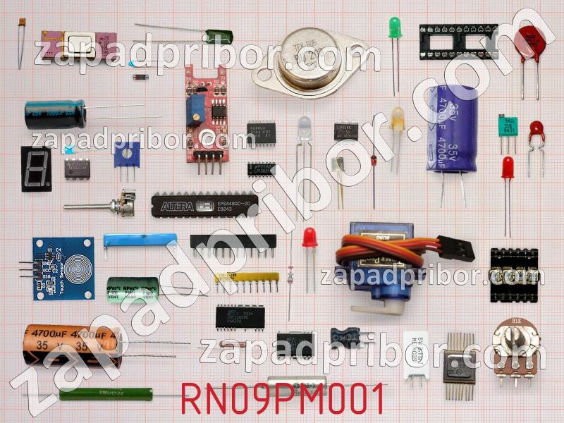 Резисторная сборка  RN09PM001 фотография.