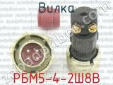 РБМ5-4-2Ш8В фотография 3 вилки.