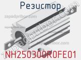 Резистор NH250300R0FE01 