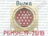 РБМ5Н-19-2Ш1В фотография 2 вилки.