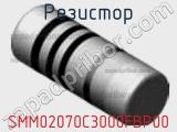 Резистор SMM02070C3000FBP00 