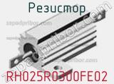 Резистор RH025R0300FE02 