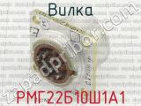 РМГ22Б10Ш1А1 фотография 2 вилки.