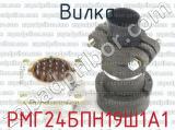 РМГ24БПН19Ш1А1 фотография 3 вилки.