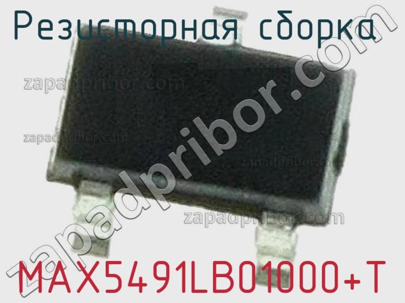 Резисторная сборка  MAX5491LB01000+T фотография.