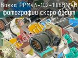 РРМ46-102-1Ш6В12-В 