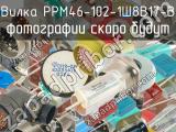 РРМ46-102-1Ш8В17-В