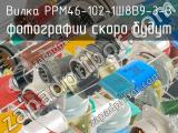 РРМ46-102-1Ш8В9-З-В 