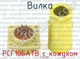 РСГ10БАТВ с кожухом фотография 3 вилки.