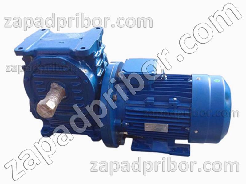 Мотор редуктор МЧ-160-12,5 червячный, фотография 1.