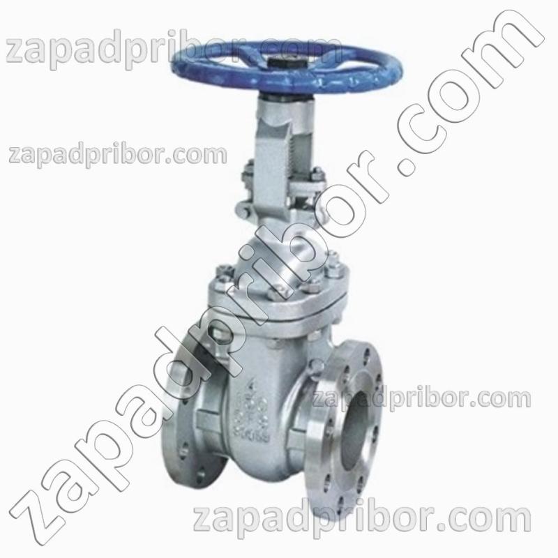 Задвижка 30нж41нж ДУ250 Ру16 фланцевая нержавеющая клиновая, фотография 1.