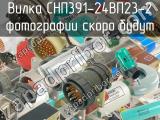 СНП391-24ВП23-2