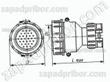 Соединитель низкочастотный цилиндрический 2РТ36П5НГ11-А вилка