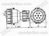 Соединитель низкочастотный цилиндрический ШР28П7НШ7 розетка