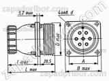 Соединитель низкочастотный цилиндрический ШР20ПК5ЭГ7 розетка