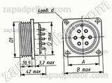 Соединитель низкочастотный цилиндрический ШР48П20ЭШ1 вилка