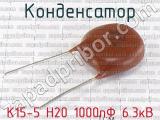 К15-5 Н20 1000пФ 6.3кВ 