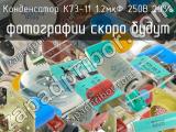 К73-11 1.2мкФ 250В 20% 