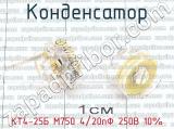 КТ4-25Б М750 4/20пФ 250В 10% 