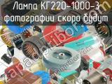 КГ220-1000-3 