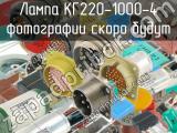 КГ220-1000-4