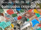 ПЭВР-100 300 Ом 10% 