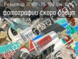 ПЭВР-75 100 Ом 10%